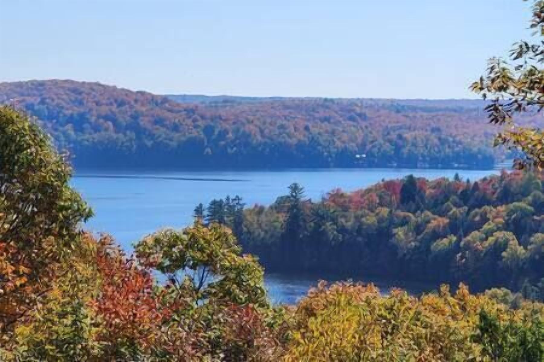 A lake surrounded by autumn-colored trees.