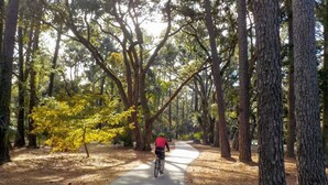 A paved path in a forested area with a cyclist. - Port O'Call - Hilton Head 6/21/25-6/28/25 - HUGE DISCOUNT!!

 (Hilton Head Island)