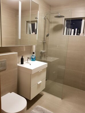 Douche, séchoir à cheveux, serviettes fournies, savon