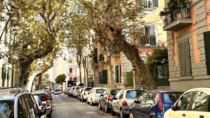 Une rue bordée d’arbres, avec des voitures garées et des immeubles dotés de balcons.