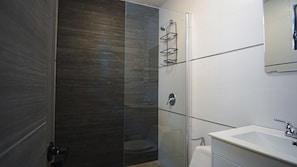 Chuveiro, secador de cabelo, toalhas de banho, sabonete