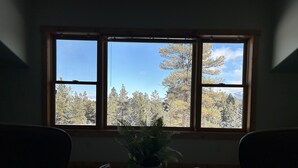 Ein Zimmer mit großem Fenster, zwei Stühlen und einem kleinen Tisch mit einer Pflanze.