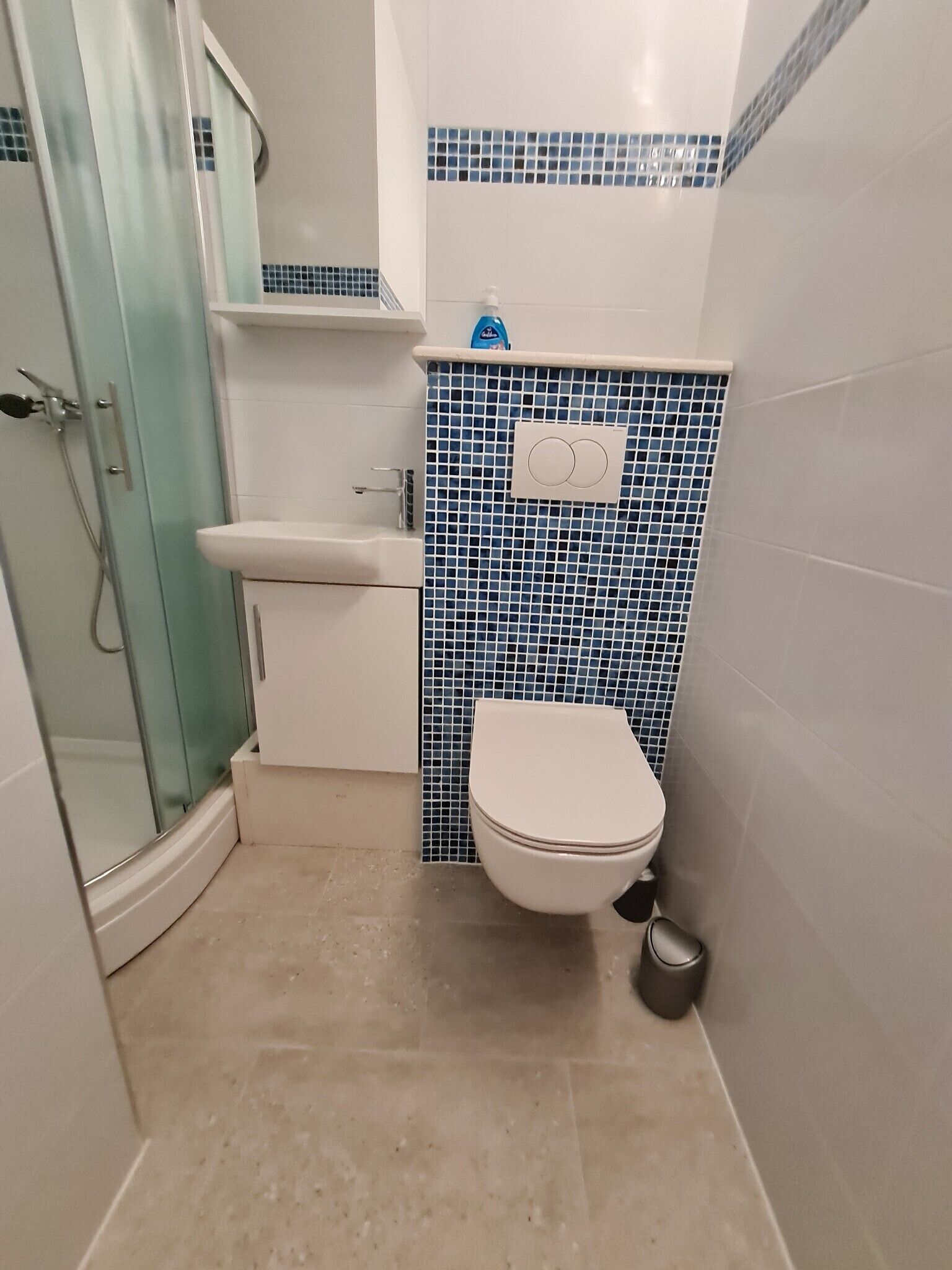 Une salle de bain équipée de toilettes, d’un lavabo et d’une douche à parois de verre.