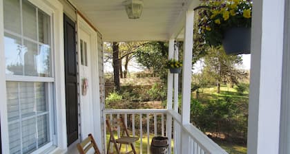 Green Pond Landing Cozy Cottage. Boat parking, Pet Permitted