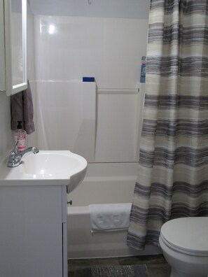 Hair dryer, towels, soap, shampoo