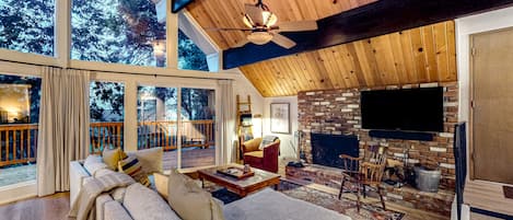 TV, fireplace, DVD player, books