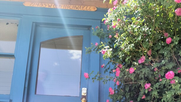 Una puerta azul con un ventanal, un buzón y un rosal en el frente.