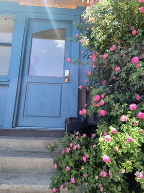 Detalle exterior