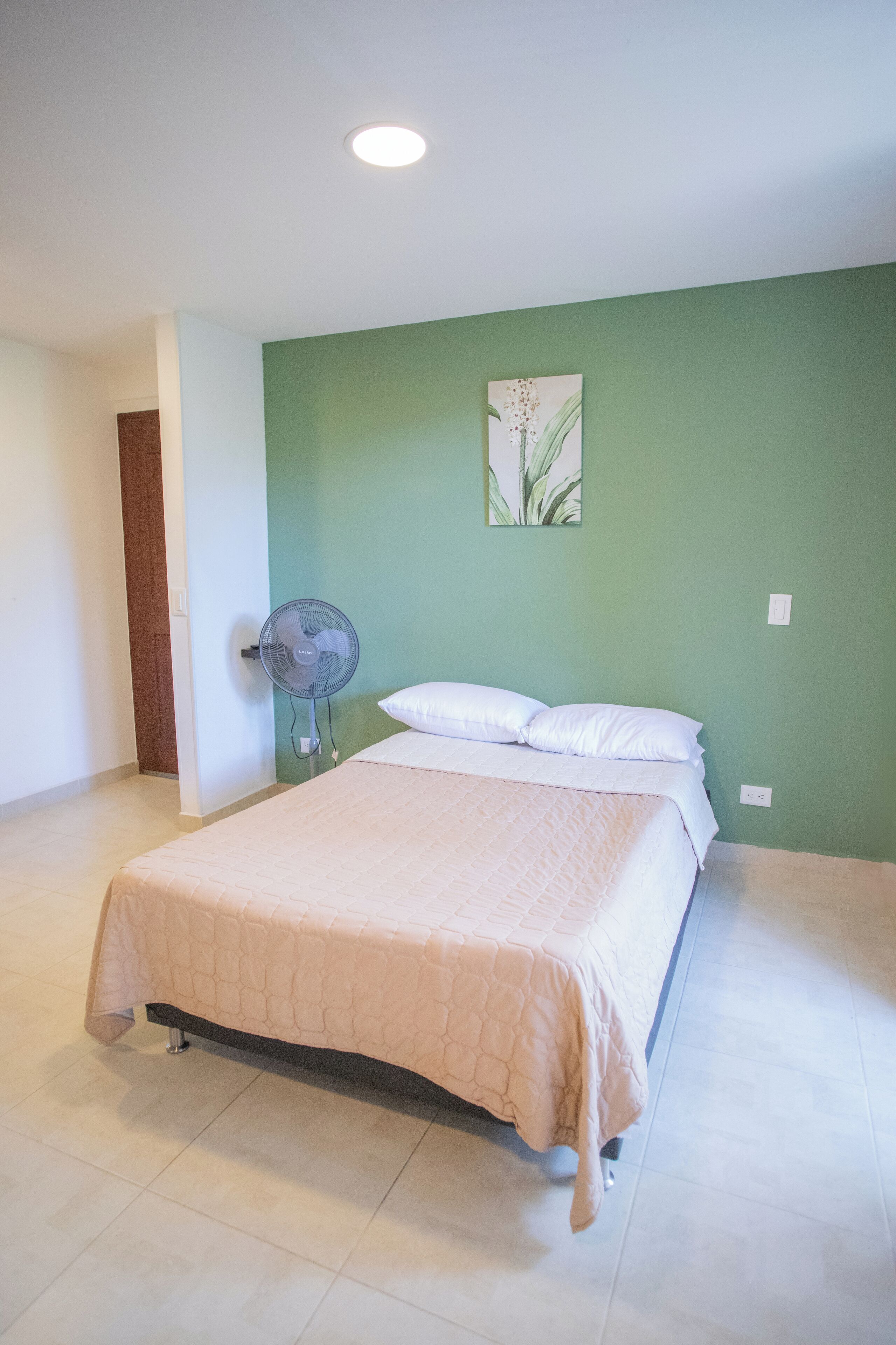 A bedroom with a bed, a standing fan, a green wall, and a door.