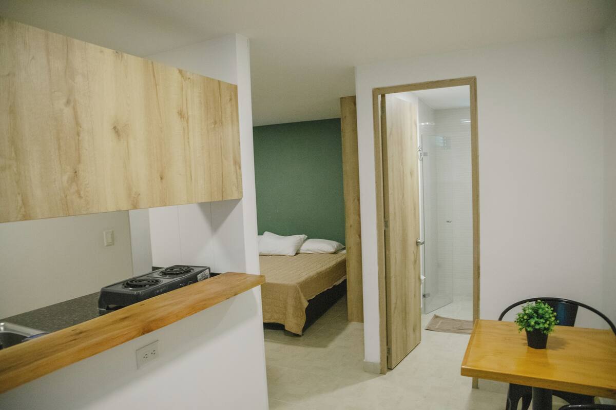 A compact room with a kitchenette, a bed, and a shower.