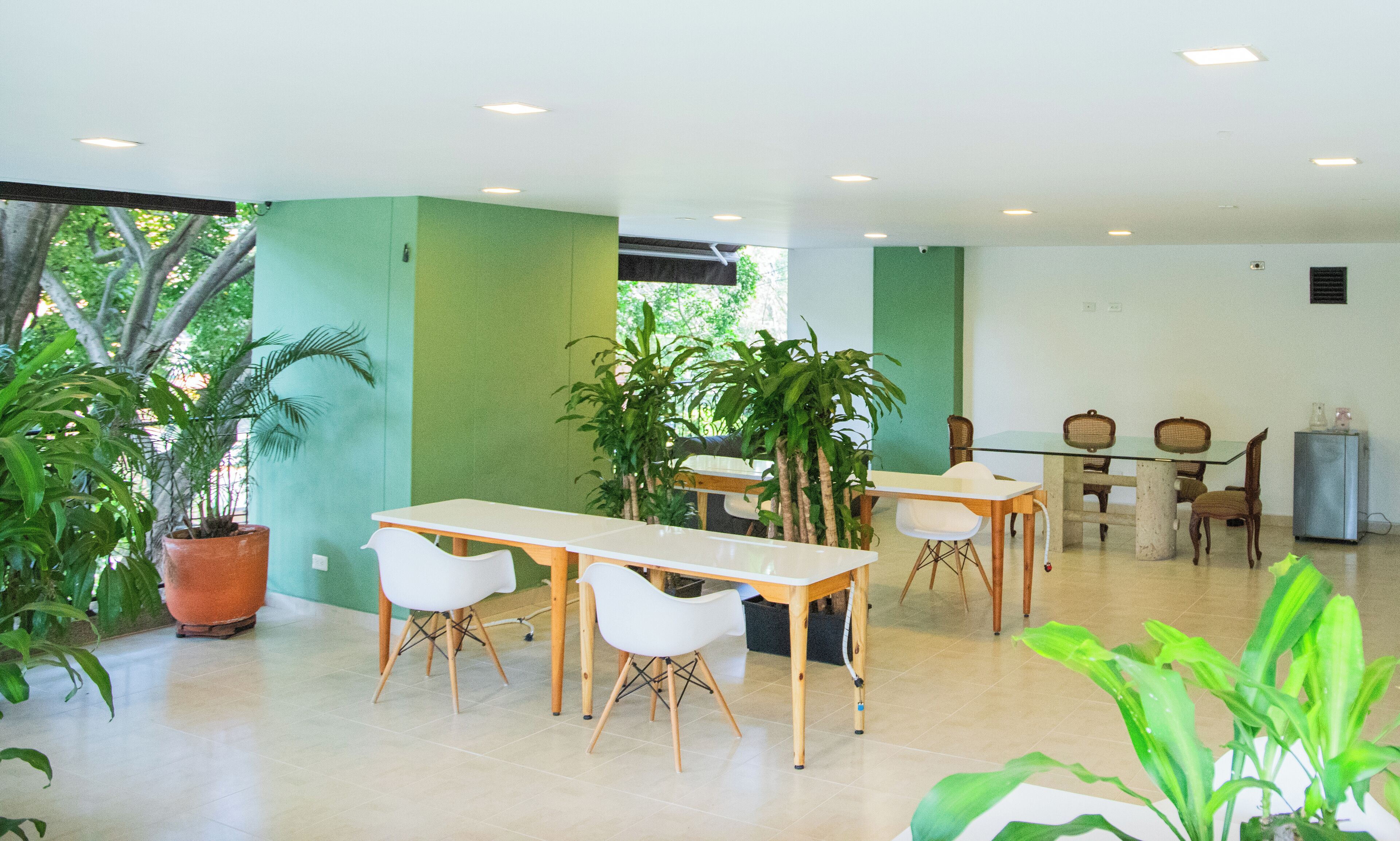 A spacious room with a long table and chairs, surrounded by potted plants.