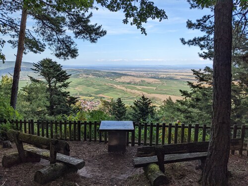 Au Coeur du Vignoble Alsacien et au Pied de la Montagne, une Charmante Maison !