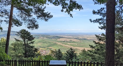Au coeur du vignoble alsacien et au pied de la montagne, une charmante maison !