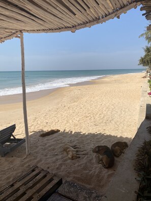 A beach with a wooden structure, a bench, and a dog lying on the sand.