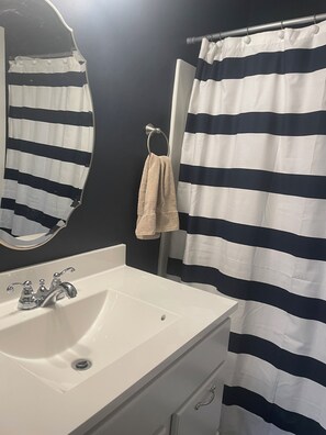 Shower, toilet paper - Located in the heart of Ludlow, Minutes from Okemo (Ludlow)