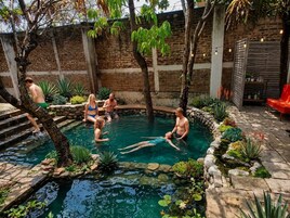 Piscina natural