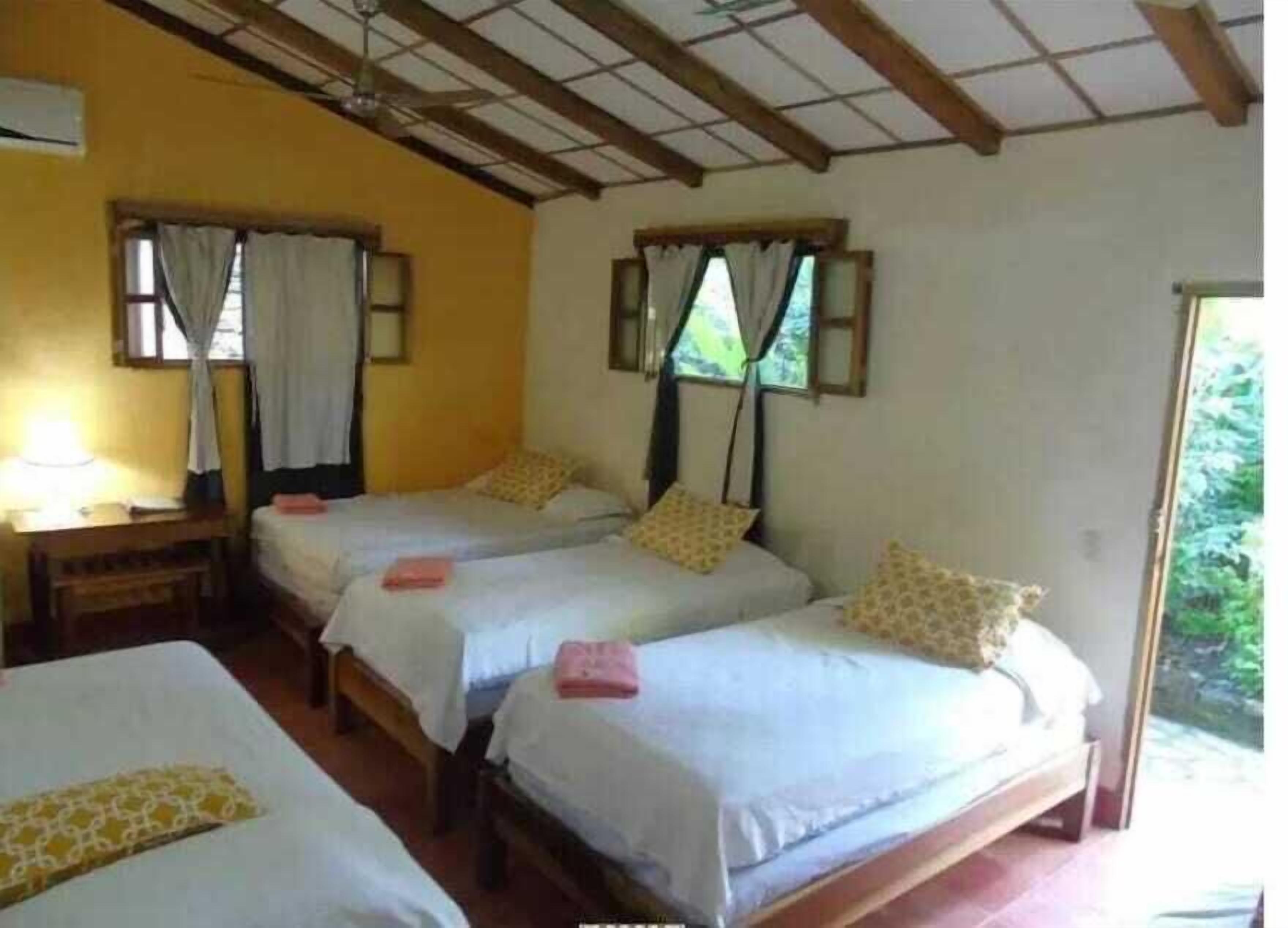 Felles sovesal – standard, for menn og kvinner, bakgårdsutsikt | Dundyner, individuelt innredet og skrivebord for bærbar PC