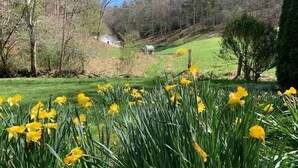 A rural landscape with a house on a hill, surrounded by trees and fields. - Creekside Cabin skiing/hiking & Appalachian Trail. (Green Mountain)