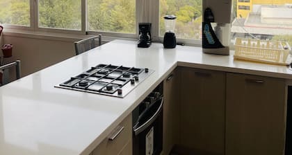 The Carso Alameda Luxury Lofts