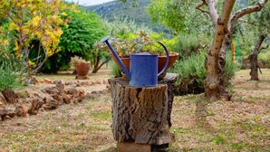 A blue watering can on a tree stump in a garden with various plants and trees. - Holiday house Sunshine in center of Jelsa (Jelsa)