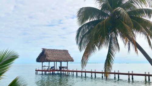 Tropical 1BR Suite with Pool Access - Flying Pig