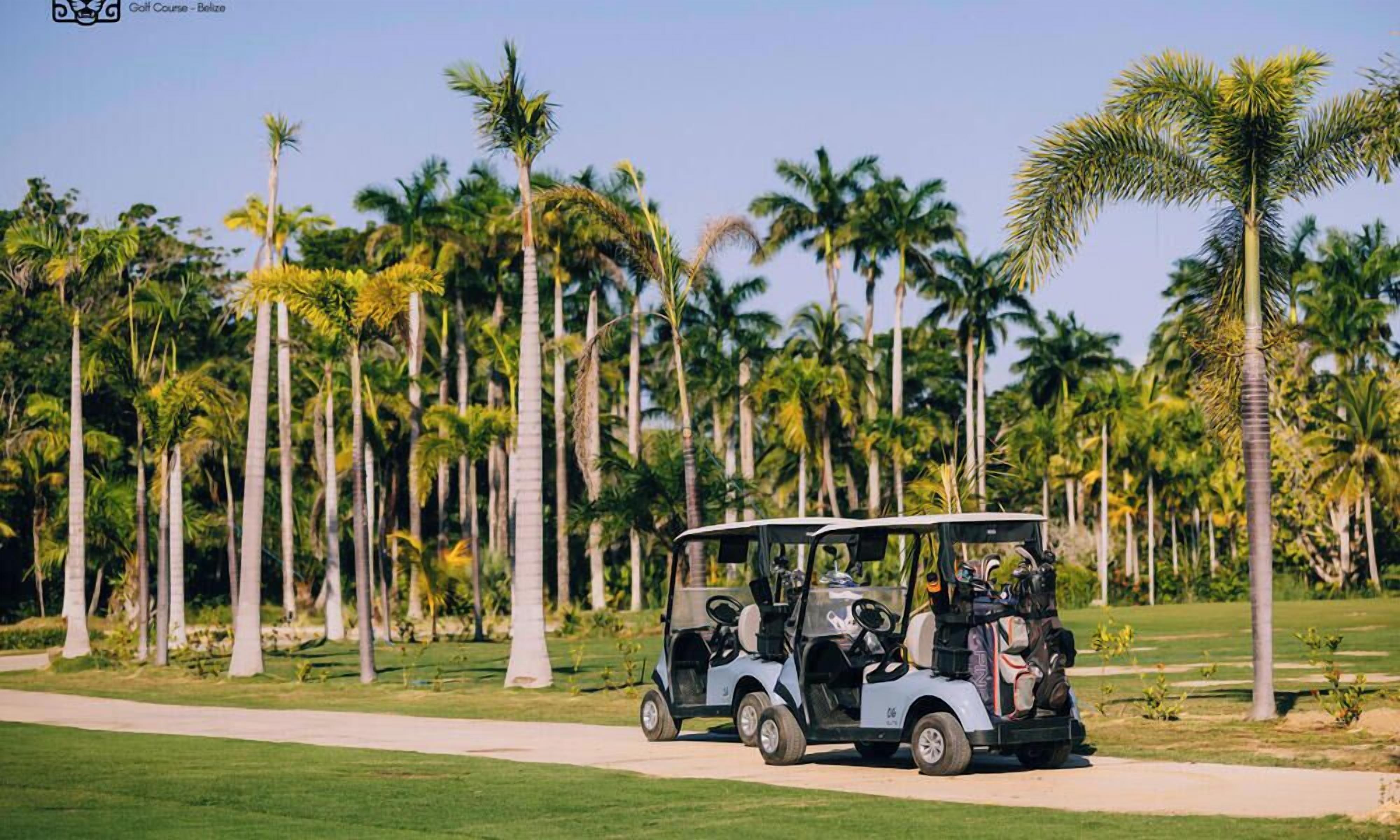 A golf cart on a path with palm trees in the background.