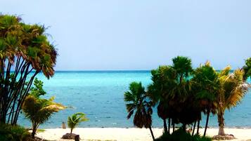 Playa en los alrededores y camastros