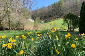 Property grounds - Cozy Creekside Cottage with Skiing & Hiking Nearby (Green Mountain)