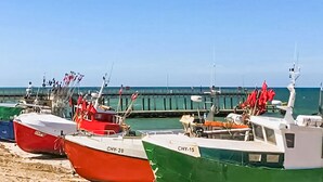 Varias embarcaciones amarradas en el muelle bajo un cielo despejado.