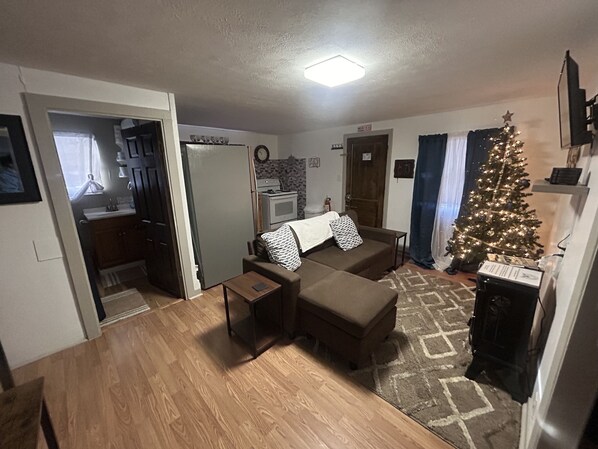 Smart TV, fireplace, books