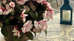A deck with a table and chairs, a potted plant with pink flowers, and a lantern. - Waterfront Studio Beach Cottage Wow Sunsets Walk to Village Shops Winery Brewery (Northport)