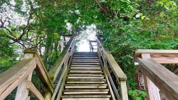 Staircase leads through lush foliage, flanked by railings for support.