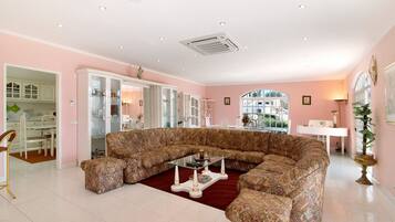 TV, fireplace, table tennis