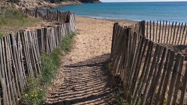Ein Sandstrand mit einer Holzlattenzaun, der zum Wasser führt.