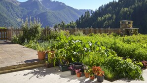 Um jardim com diversas plantas e uma estrutura de pedra, cercado por uma vedação de madeira e montanhas ao fundo.