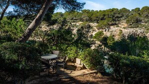 Zona d'estar a l'aire lliure amb taula i cadires, envoltada de vegetació i arbres densos.