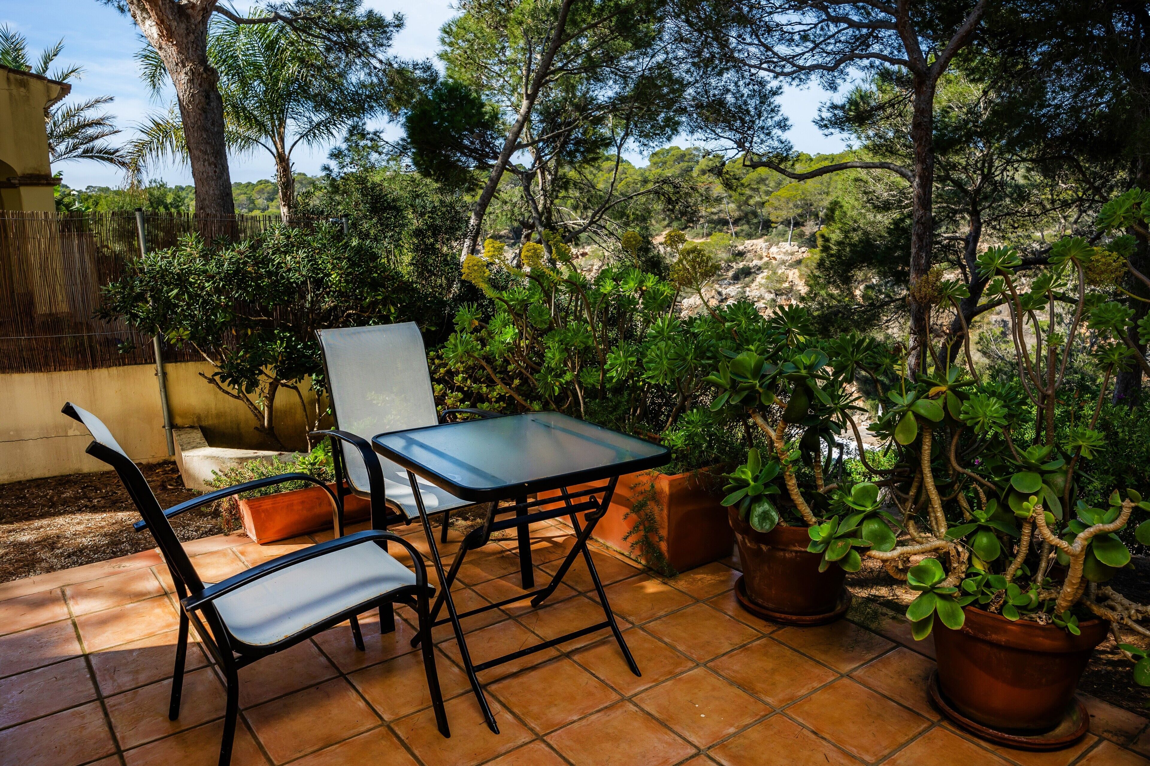 Un patio exterior con una mesa y sillas, rodeado de plantas en macetas y árboles.