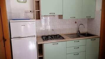 Fridge, stovetop, cookware/dishes/utensils