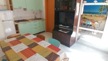 Fridge, stovetop, cookware/dishes/utensils