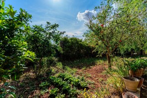 Property grounds - Holiday Home 'Il Bilo Di Giuseppe 458' with Shared Garden and Air Conditioning (Tricase)