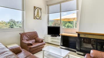 Una televisión, una chimenea, una mesa de tenis de mesa