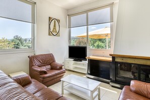 Televisión, chimenea y tenis de mesa 