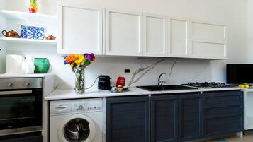 Fridge, stovetop, cookware/dishes/utensils