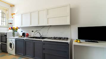 Fridge, stovetop, cookware/dishes/utensils