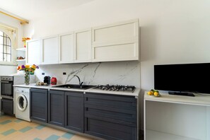 Fridge, stovetop, cookware/dishes/utensils