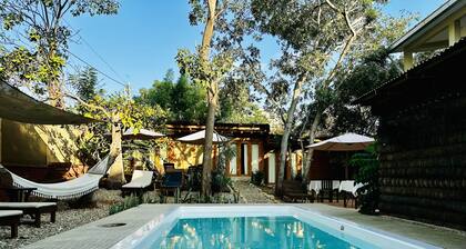 Hotel Capsula Vive Surf