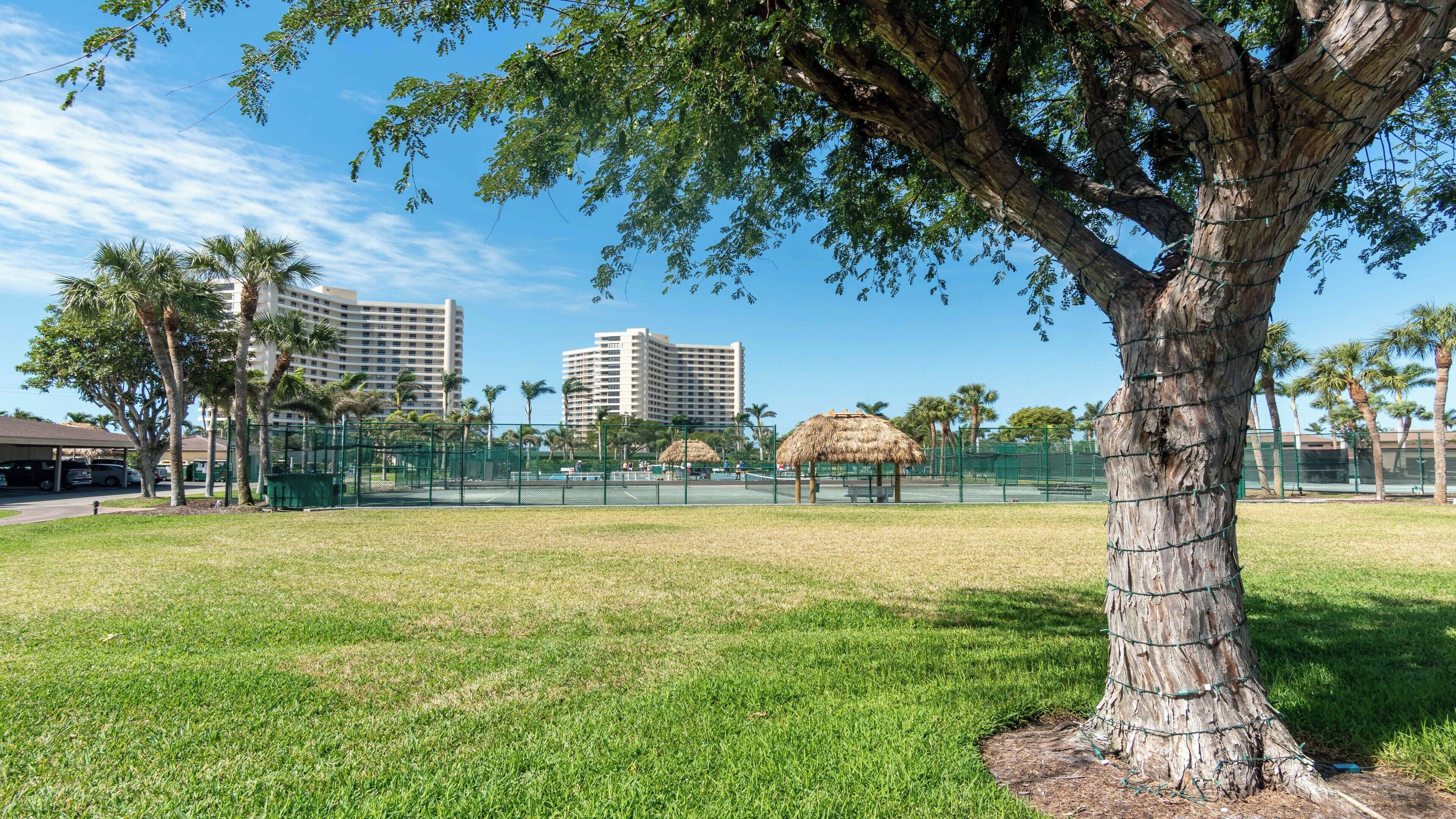 A grassy area with a tree, a tennis court, and buildings in the background.