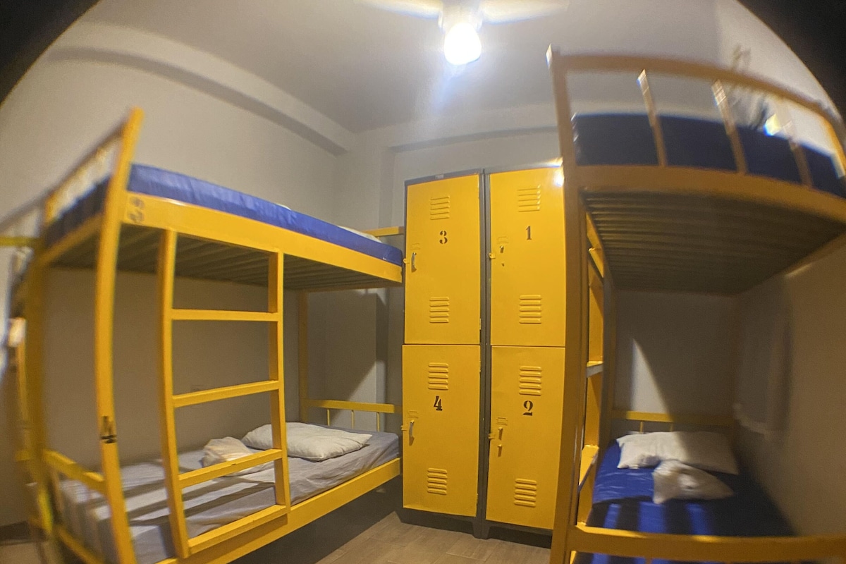 Comfort Shared Dormitory