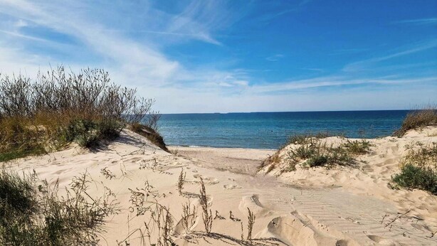 Ein Strand mit einem sandigen Pfad, der zum Wasser führt, umgeben von spärlicher Vegetation.