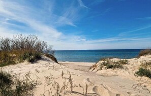 A beach with a sandy path leading to the water, surrounded by sparse vegetation. - 2 bedroom beautiful home in Mielno (Mielno)